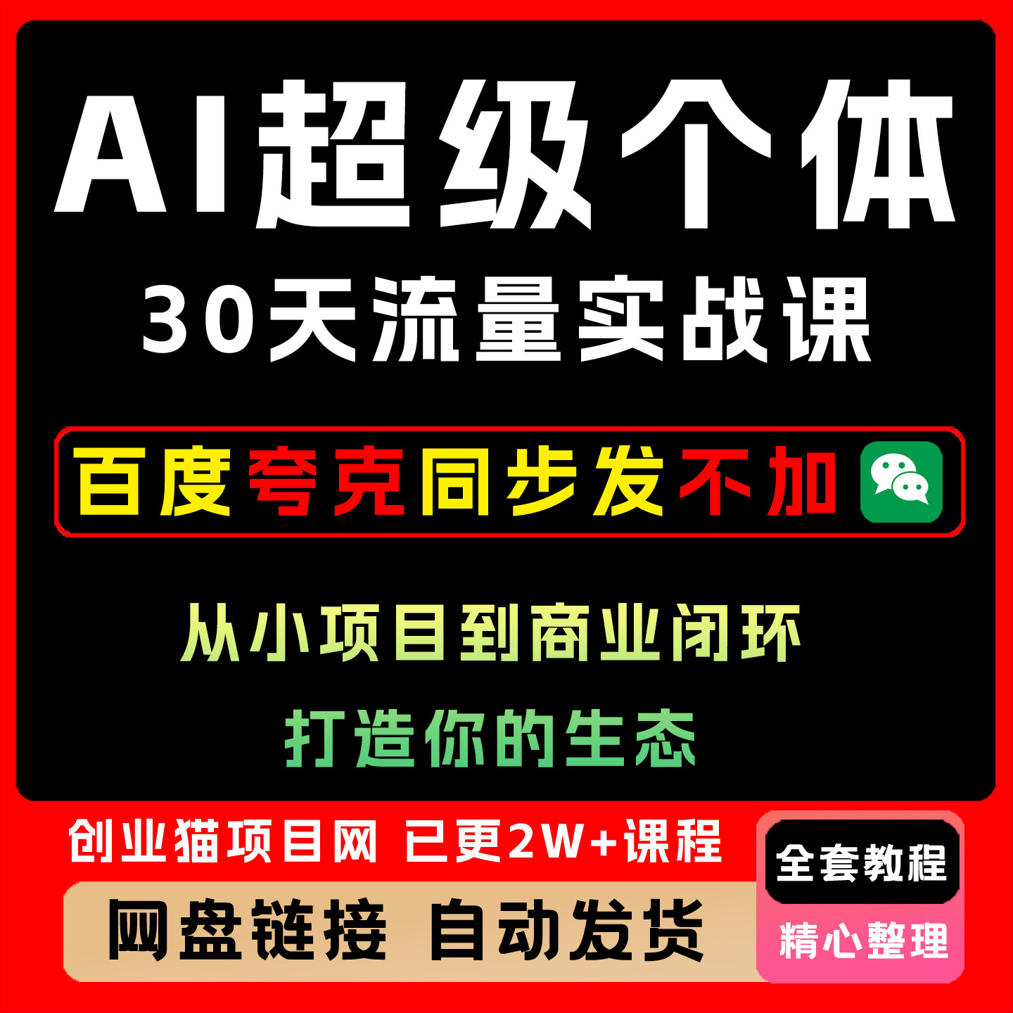 AI超级个体30天流量实战课,从小项目到商业闭环,打造你的生态