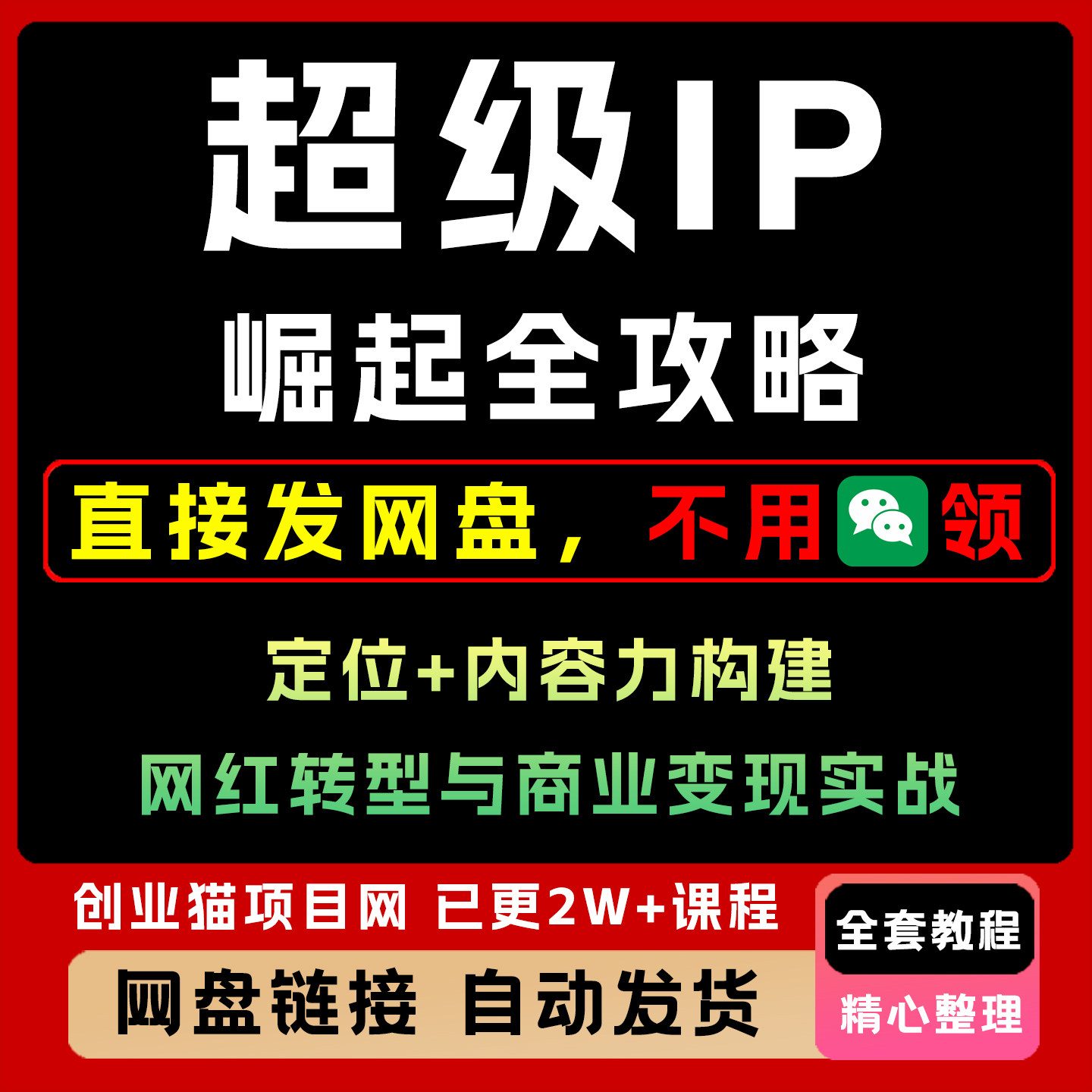 超级IP崛起全攻略，定位+内容力构建，网红转型与商业变现实战