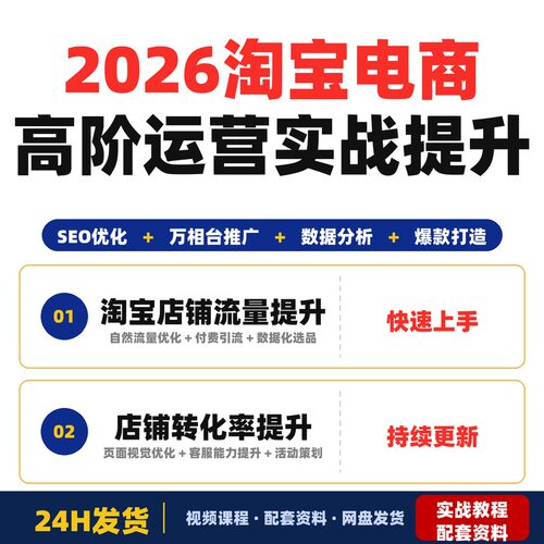 2026淘宝电商高阶运营实战班SEO优化万相台推广数据分析全套教程