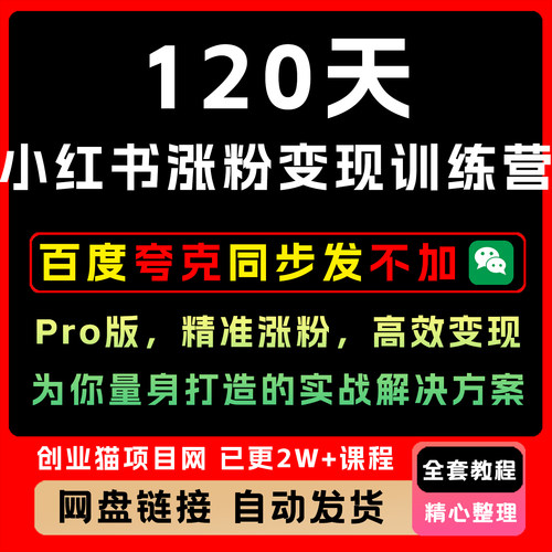 120天xhs多人变现训练营Pro版，​精准上人，高效变现​营销教程