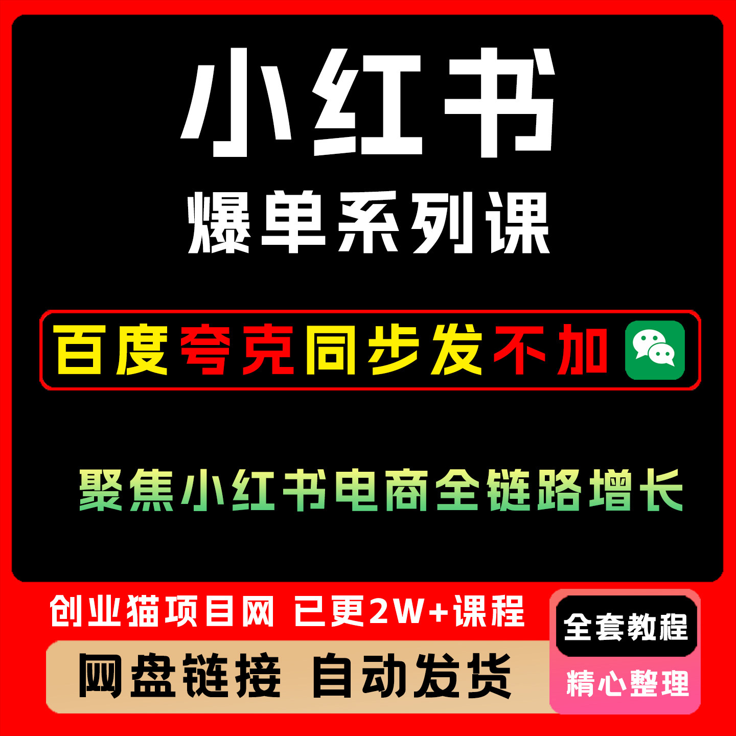 小红书电商全链路课掌握小红书从开店选品到爆单从零到一跑通变现