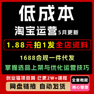 2025淘宝低成本起店系统课如何赚钱教程淘系运营视频课程副业项目