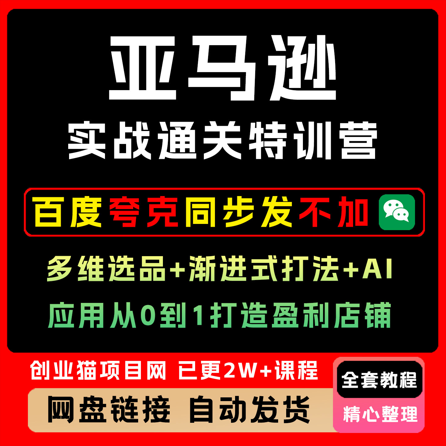 2026年3月更新亚马逊实战通关特训营多维选品AI应用从0图片