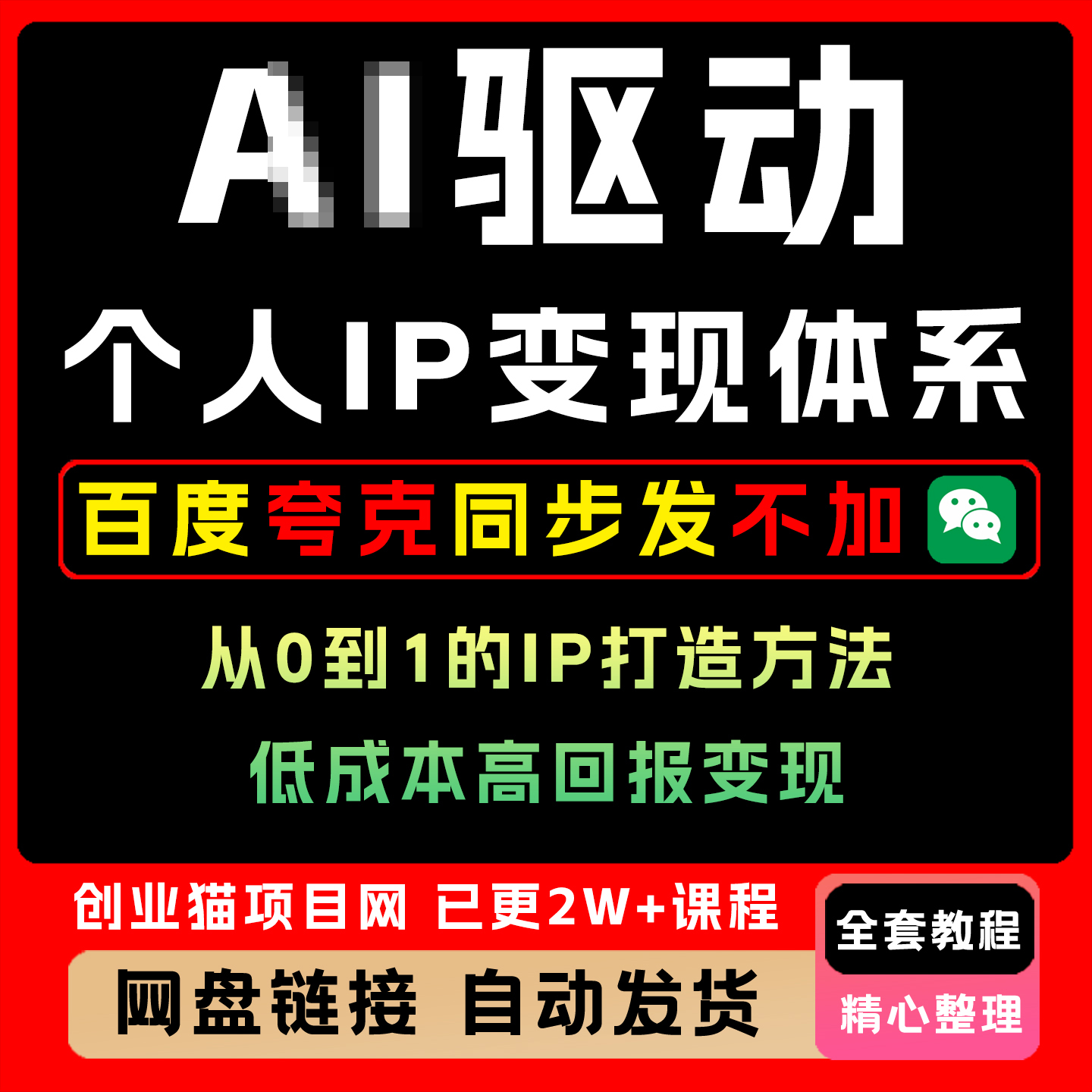 驱动的个人IP变现体系0到1的IP打造方法低成本高回报的线上变现