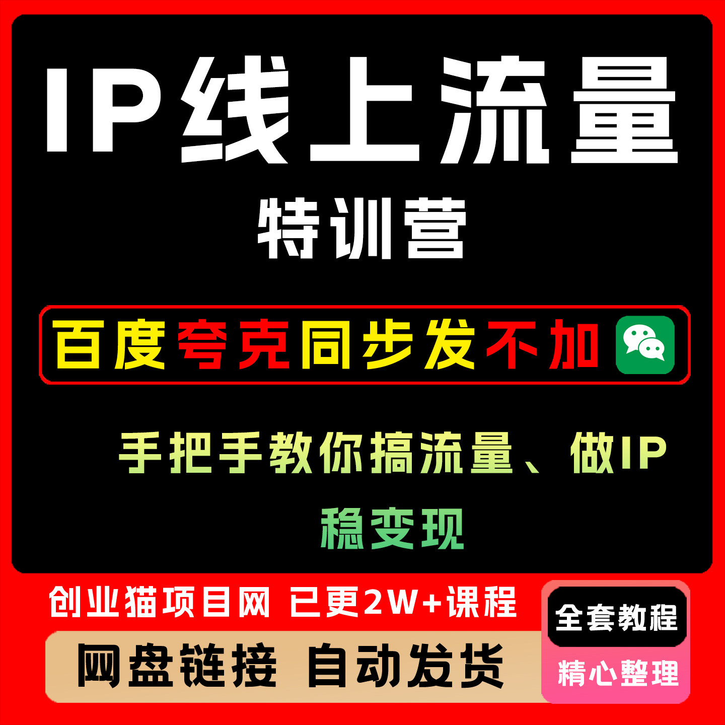 IP线上流量特训营,手把手教你搞流量、做IP全套课程稳变现教程