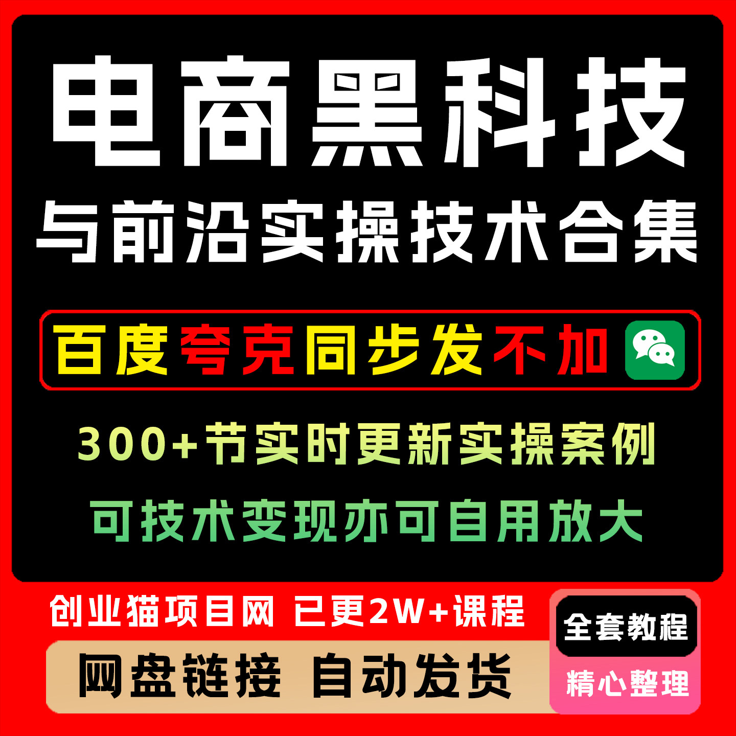 2025电商黑科技前沿实操技术 实时更新案例 技术变现自用放大课程