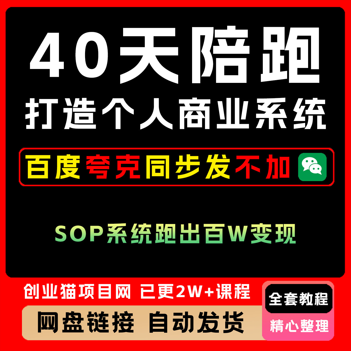 40天陪跑打造个人商业系统,一人公司,用SOP系统跑出百W变现