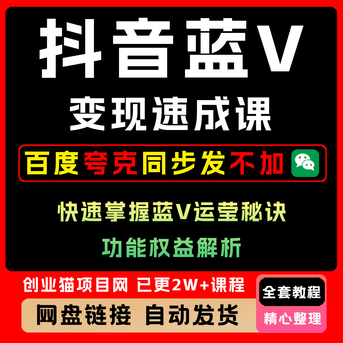 2025年抖音蓝V变现速成课玩法  快速掌握蓝V运莹秘诀