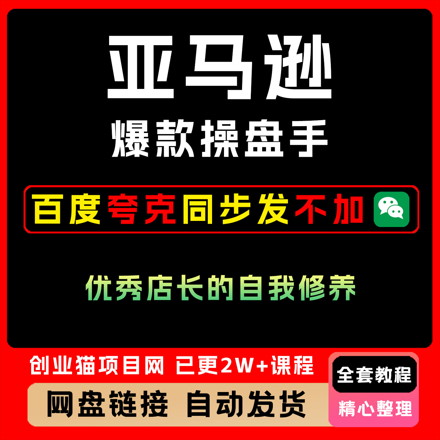 亚马逊爆款操盘手:优秀店长的自我修养全套教程个性化服务