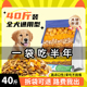 狗粮40斤装 通用泰迪德牧金毛哈士奇拉布拉多专用大型幼成犬粮10斤