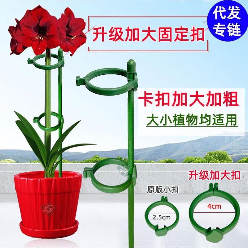 植物支撑杆花架苋菜抗倒伏支架园艺蜘蛛植物玫瑰番茄架子绿色植物