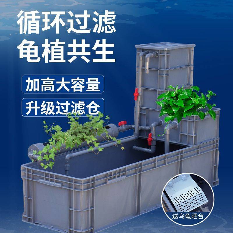 乌龟周转箱过滤养龟专用缸龟缸过滤器乌龟爬台晒台大型龟养殖箱