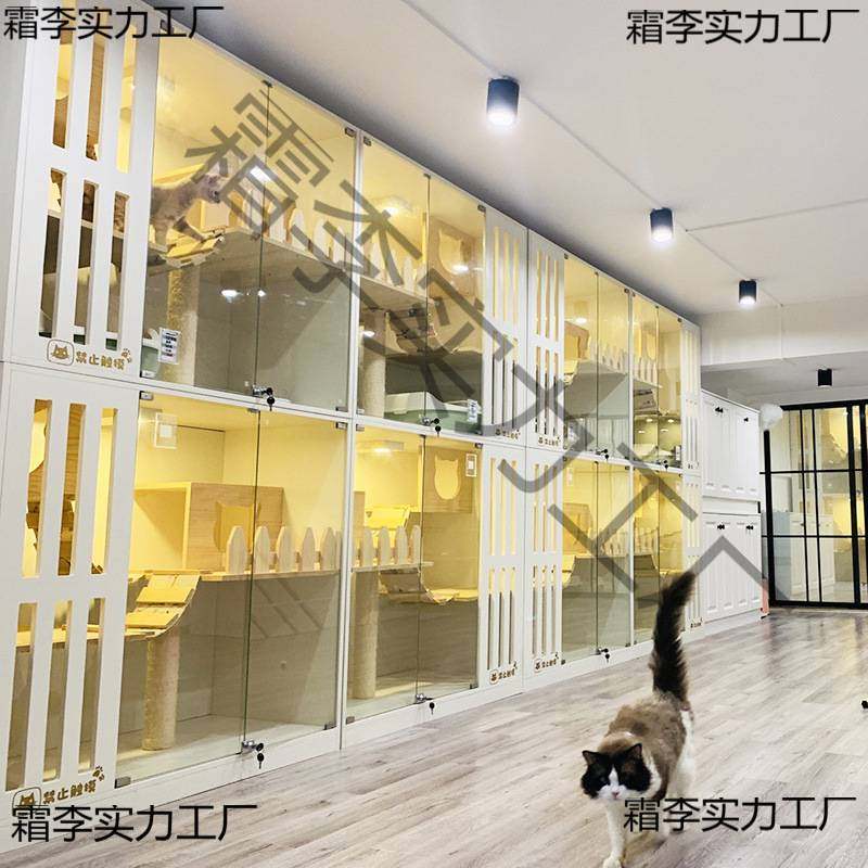 宠物店展示笼宠物笼子别墅房子玻璃门展示柜宠物肥猫猫舍店寄养大