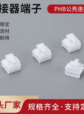 带锁扣双排PHB2.0mm公母连接器