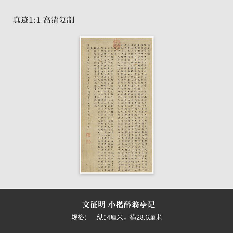 文征明小楷醉翁亭记原大复制品毛笔书法练字帖长卷艺术微