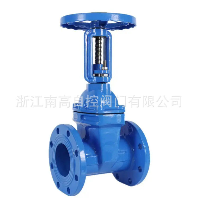 DN65 法兰闸阀 软密封明杆闸阀 Z41X-25Q 球墨铸铁闸阀