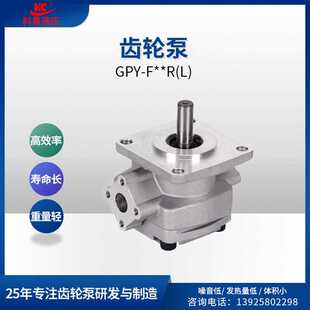 F12R液压高压齿轮泵低噪声外啮小型齿轮泵增压齿轮泵 科昌GPY