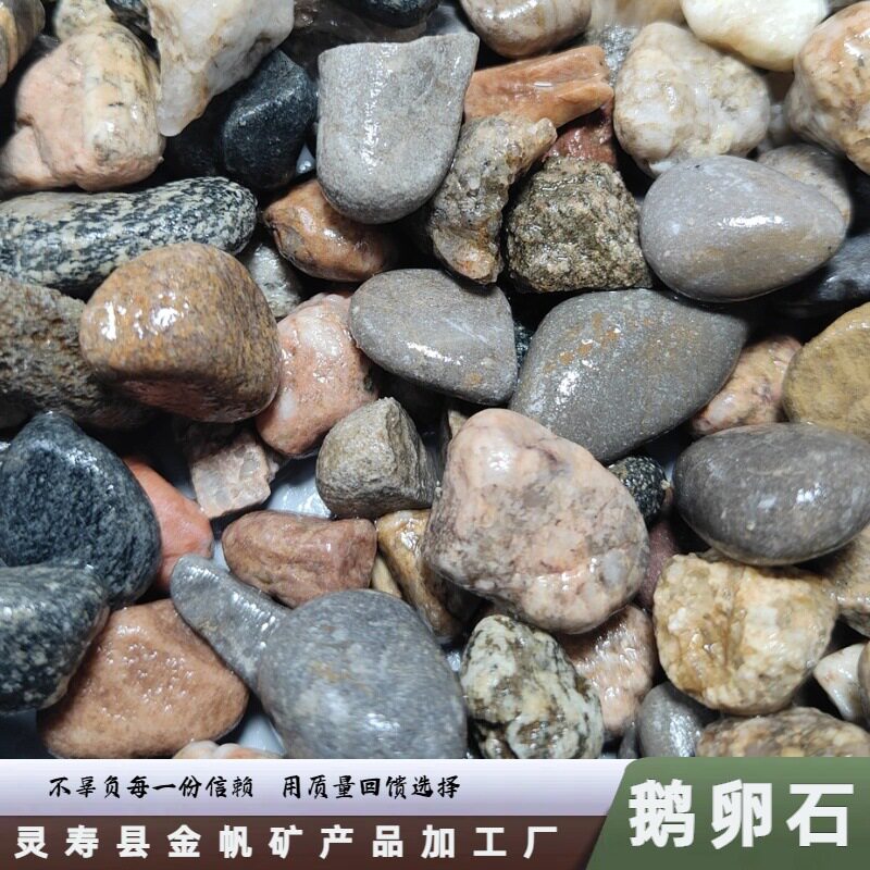 厂家供应地暖回填用的豆石混凝土建筑材料 污水处理滤料用鹅卵石