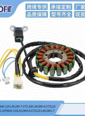 定子线圈SYM JOYMAX 125 LM12W-T GTS 200 LM18W-6 GTS125 LN12W2