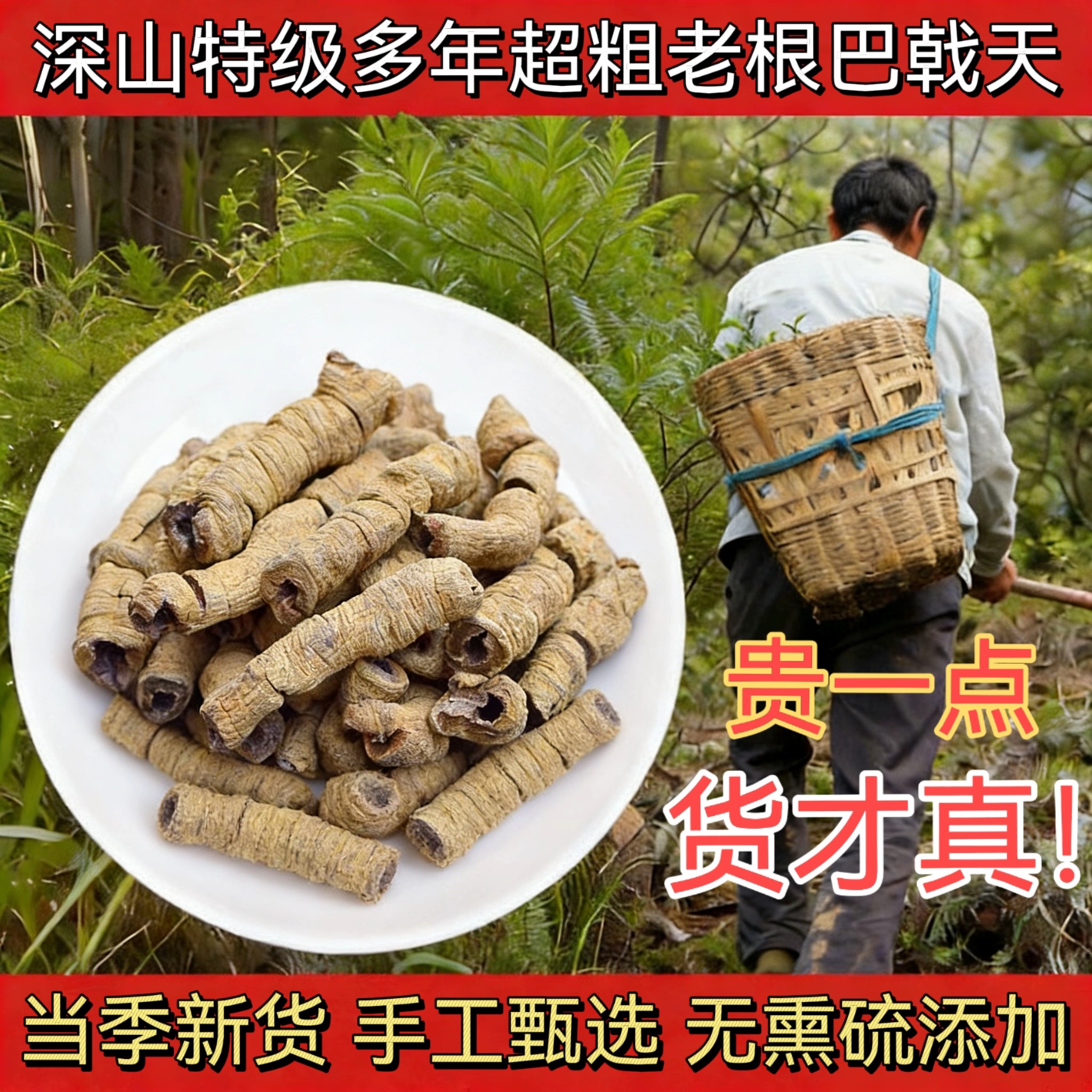 广东德庆巴戟天中药材非野生官方旗舰店配杜仲牛大力泡酒煲汤材料