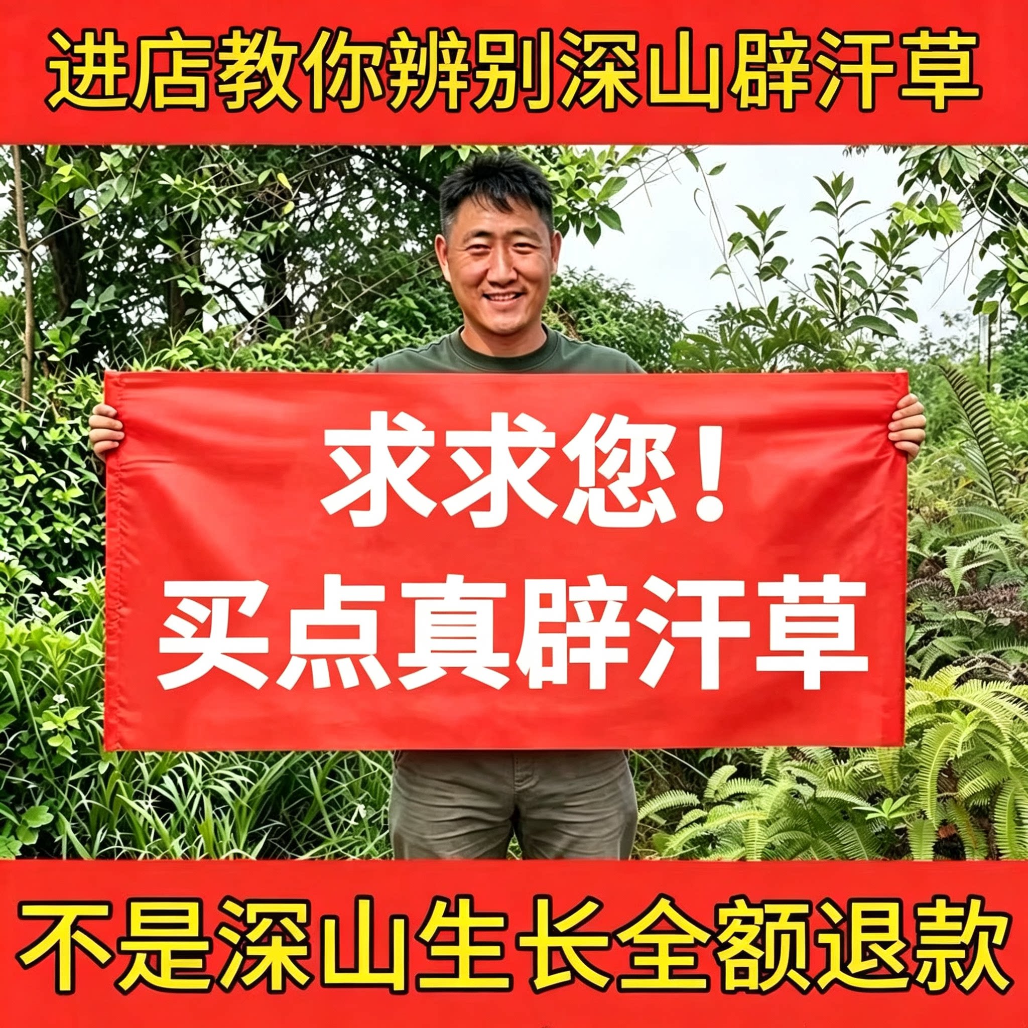 辟汗草中药草木犀野苜蓿铁扫把散血草野长生果鸡虱子草干货500g克
