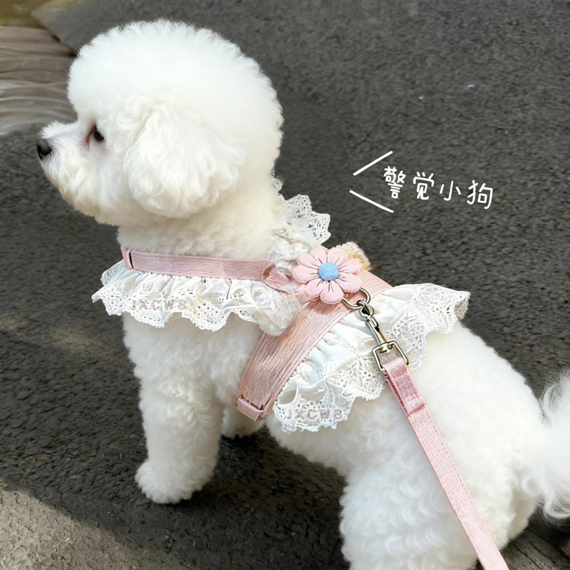 狗狗牵引绳胸背带可爱小花小型犬泰迪比熊外出专用遛狗绳子防挣脱,宠物/宠物食品及用品,猫牵引绳,淘宝优惠券,粉丝福利购,淘宝优惠卷