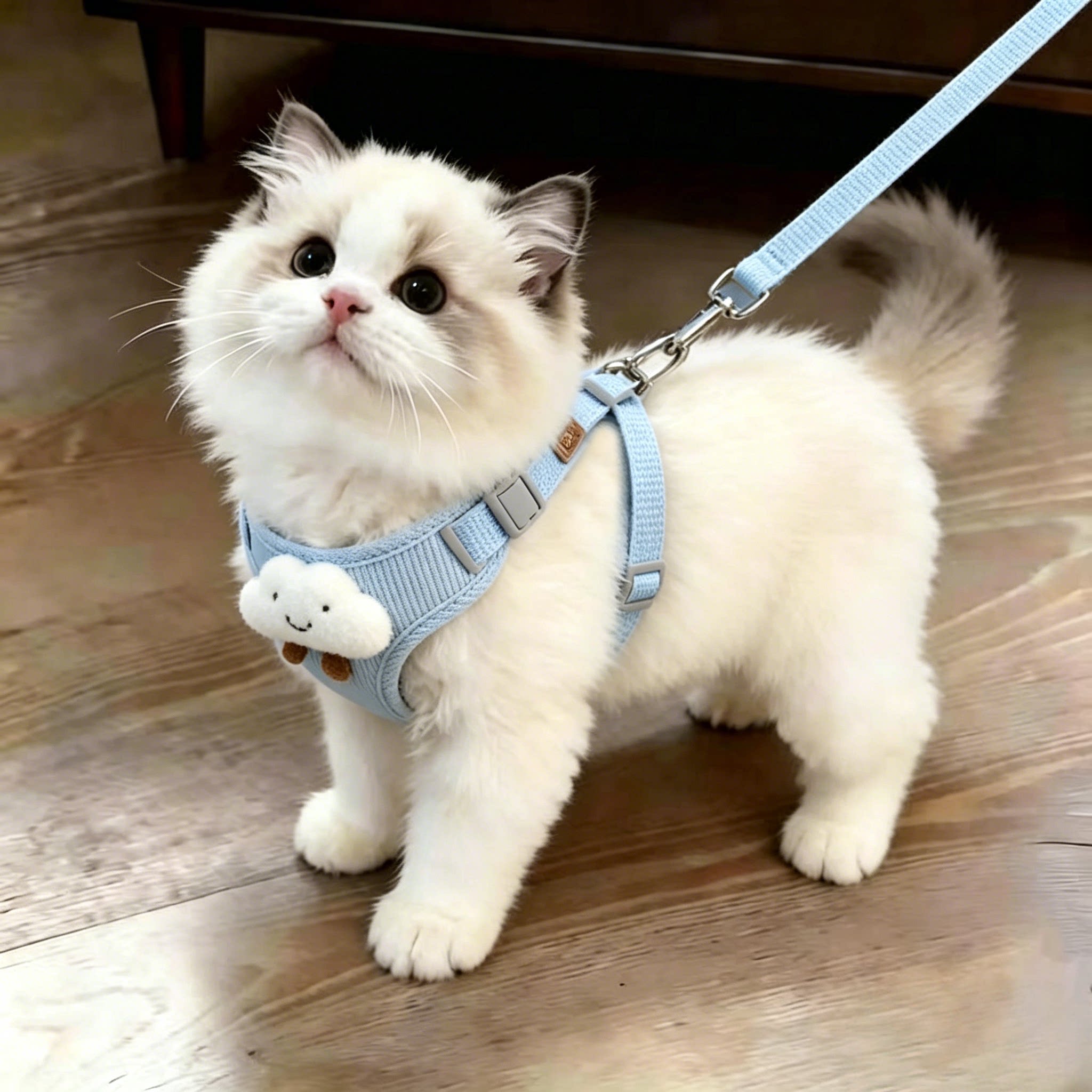 阿莫尔猫胸背牵引绳防挣脱云朵