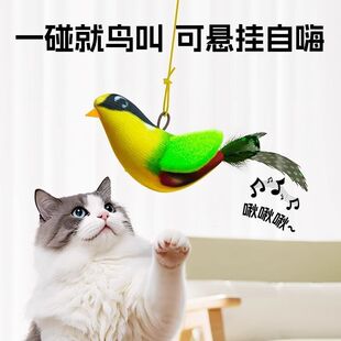 猫咪玩具发声小鸟仿真会叫小鸟悬挂逗猫棒幼猫自嗨解闷逗猫玩具