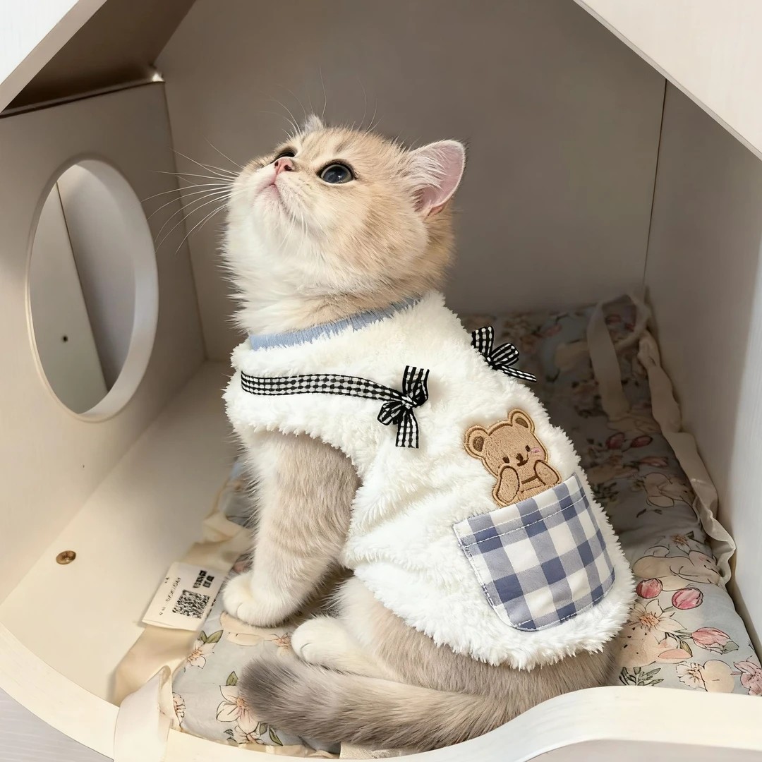 猫咪衣服秋冬装金渐层银渐层橘猫矮脚猫咪卫衣保暖衣服口袋熊绒衣