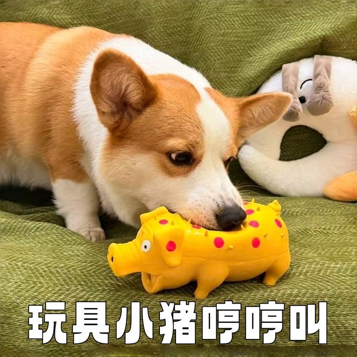 宠物橡胶玩具猪叫发声自嗨