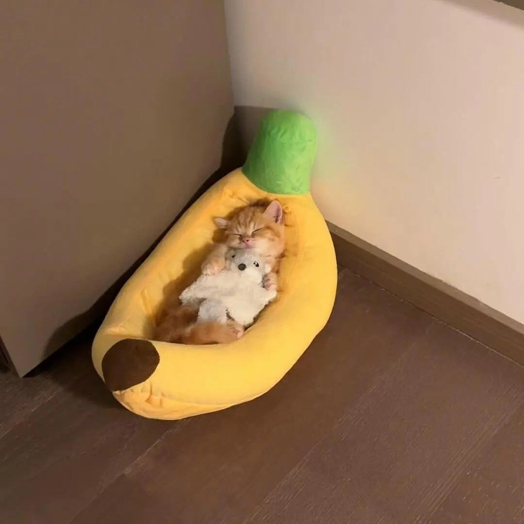 香蕉猫窝四季通用可拆洗宠物窝