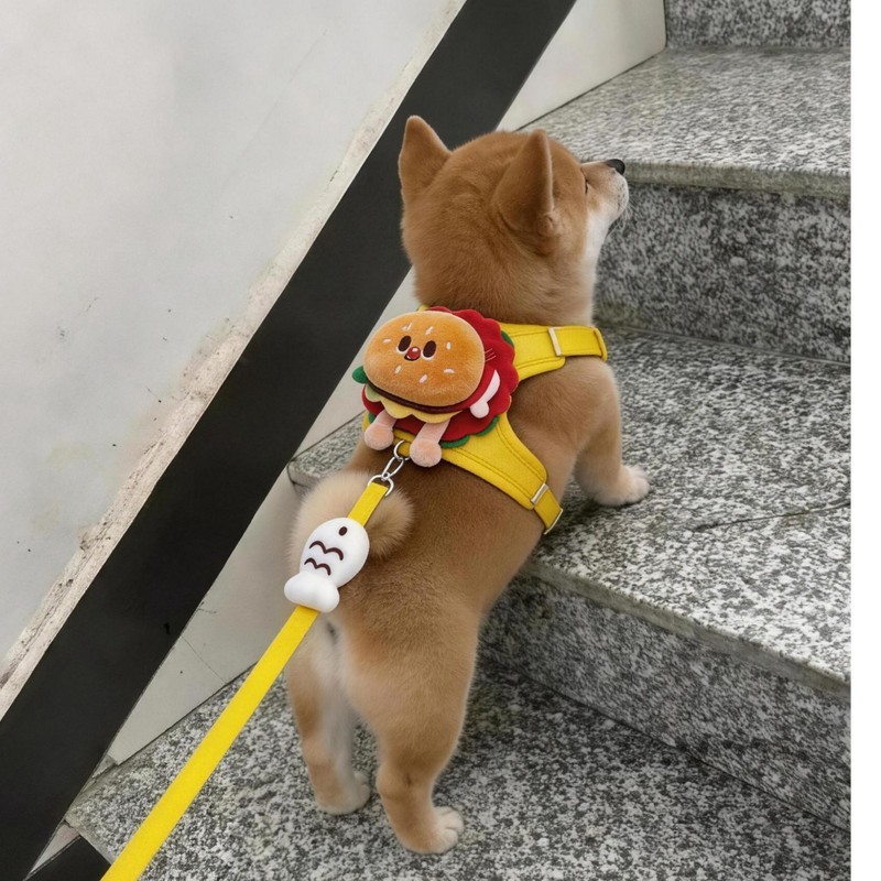狗狗牵引绳卡通汉堡胸背防挣脱小型犬外出遛猫遛狗泰迪比熊牵引带