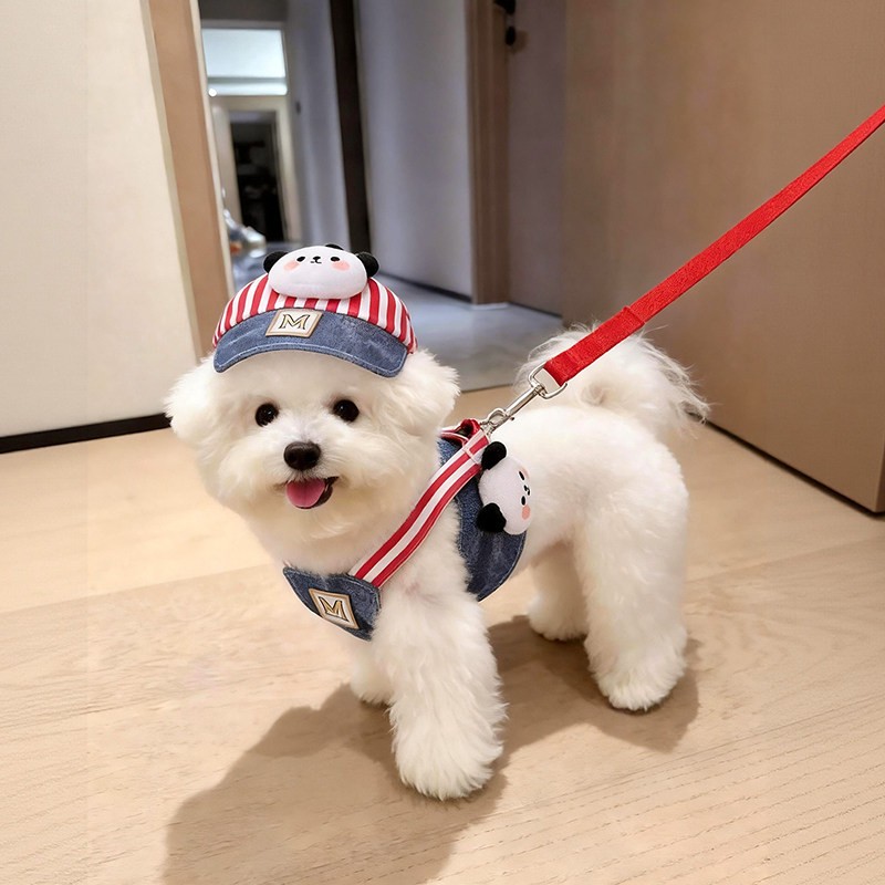 狗狗牵引绳套装胸背带猫衣服外出遛狗绳小型犬比熊泰迪宠物防挣脱
