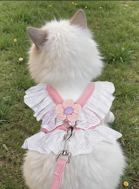 猫咪牵引绳可调节蕾丝小花jk裙宠物衣服胸背带外出专用防挣脱遛猫