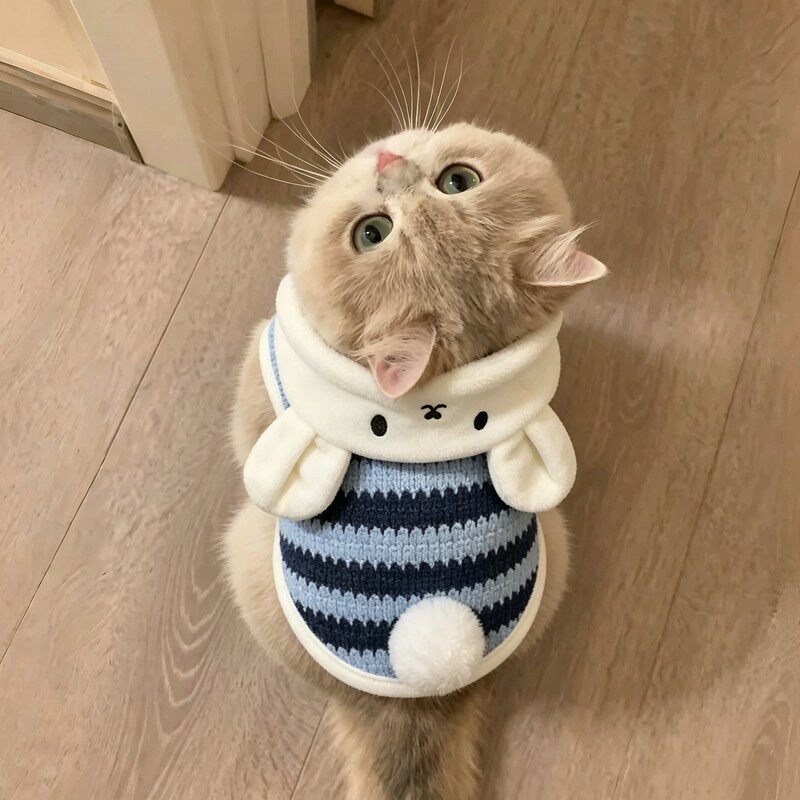 秋冬保暖兔耳可牵引猫狗马甲