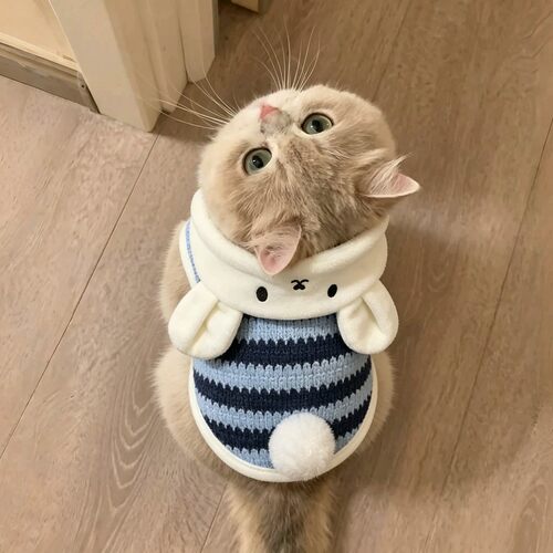 秋冬保暖兔耳可牵引猫狗马甲