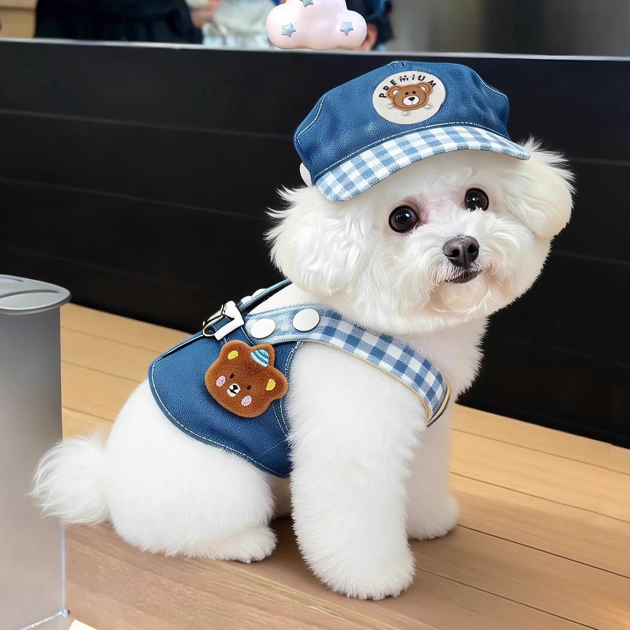 狗狗衣服牵引绳可爱卡通风胸背可调节比熊泰迪小型犬外出牵引衣服