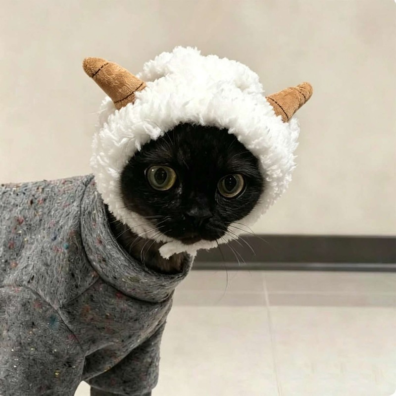 猫咪帽子漏耳朵搞怪帽猫咪小狗毛绒小羊头套拍照出片神器冬季保暖