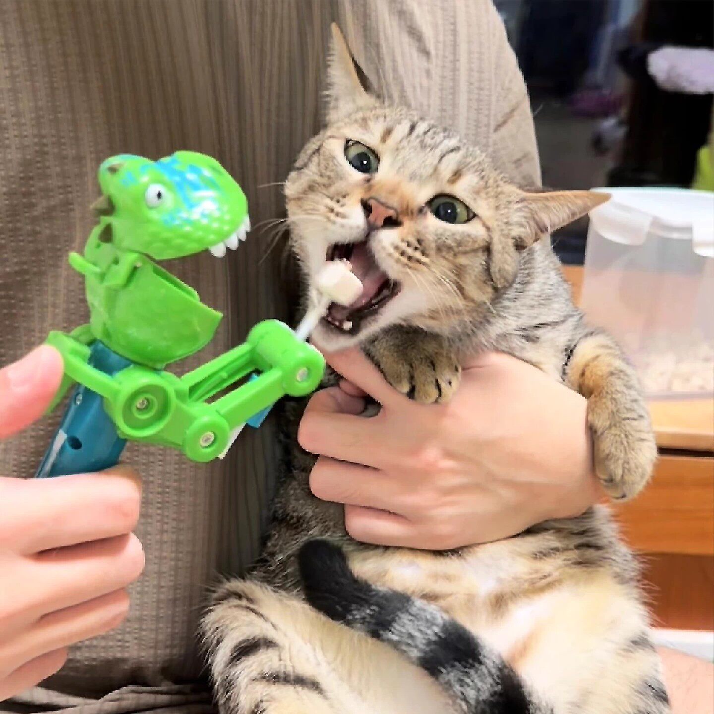 恐龙造型伸缩冻干猫薄荷逗猫棒