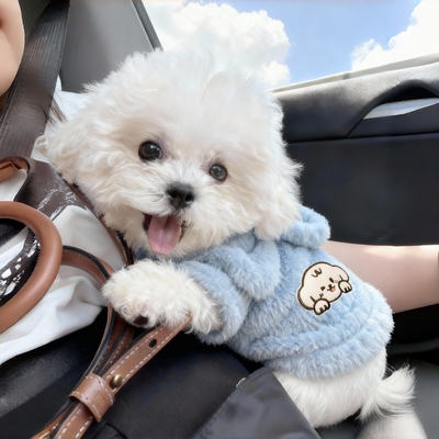 狗狗衣服秋冬装加绒保暖狗狗衣服两脚带帽衫宠物衣服抗寒保暖衣服