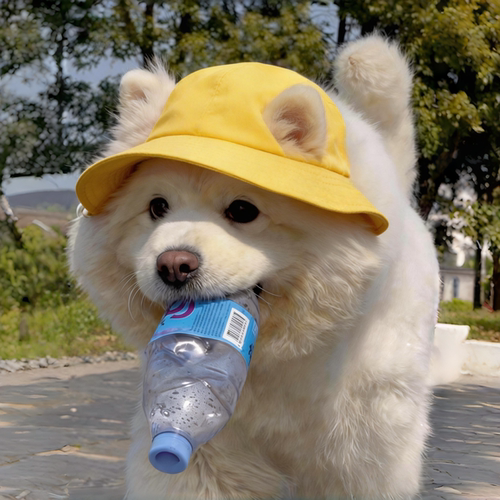 宠物露耳防晒帽大中小型犬帽子
