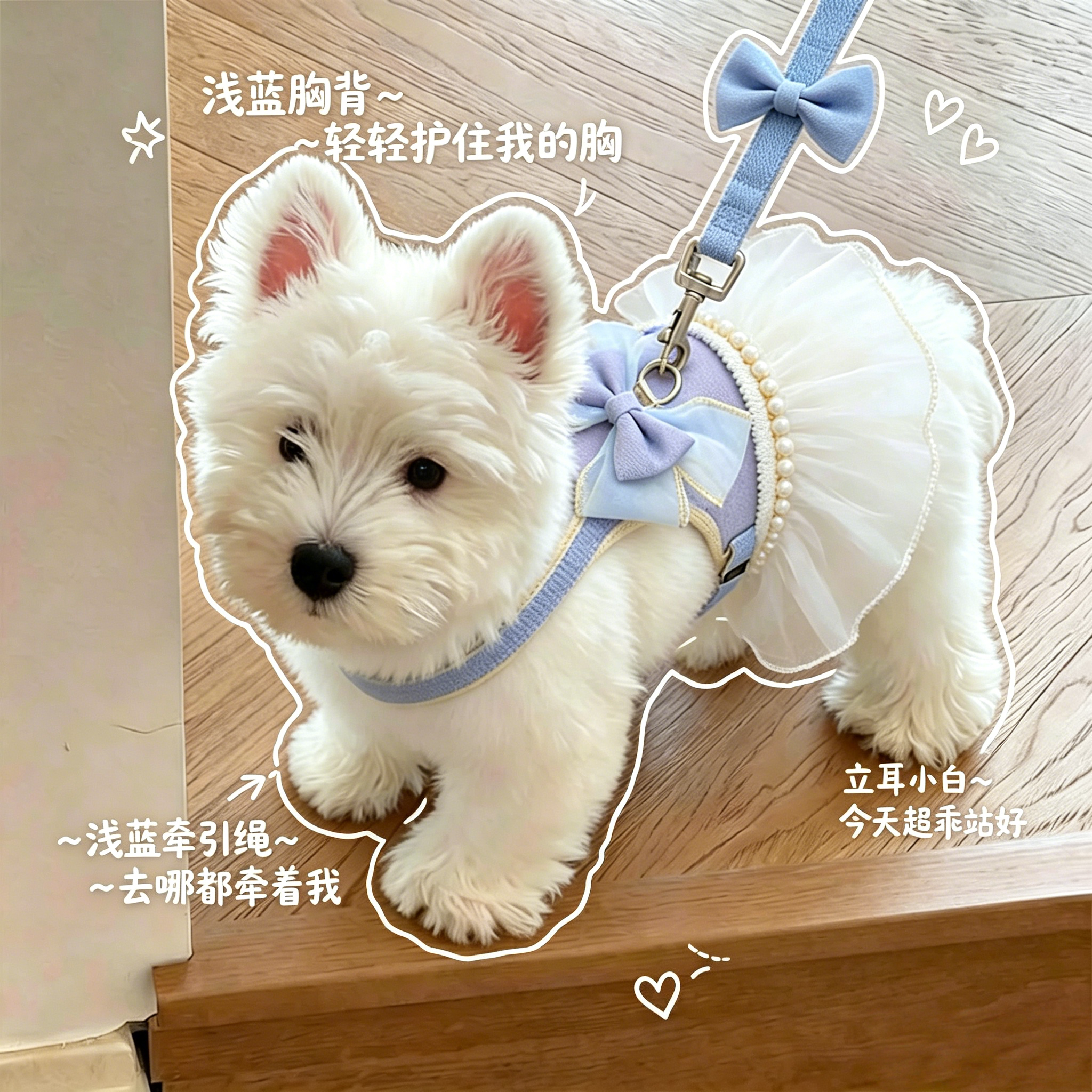 狗狗背心式防挣脱蝴蝶结牵引绳