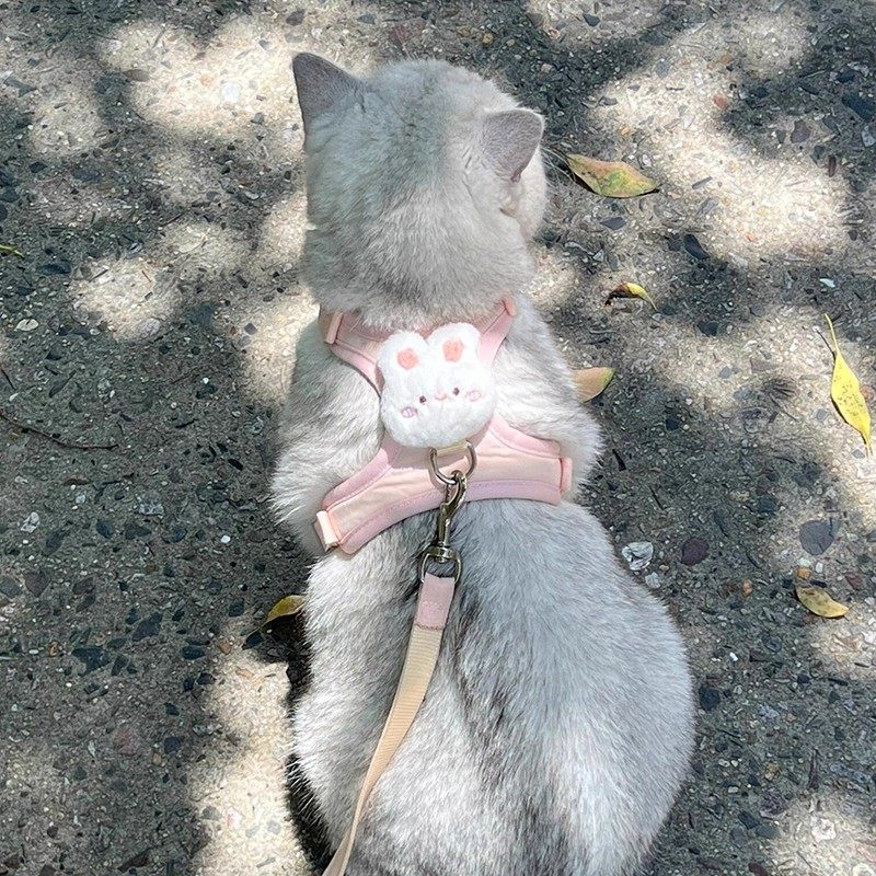 猫咪牵引绳可调节防丢宠物用品