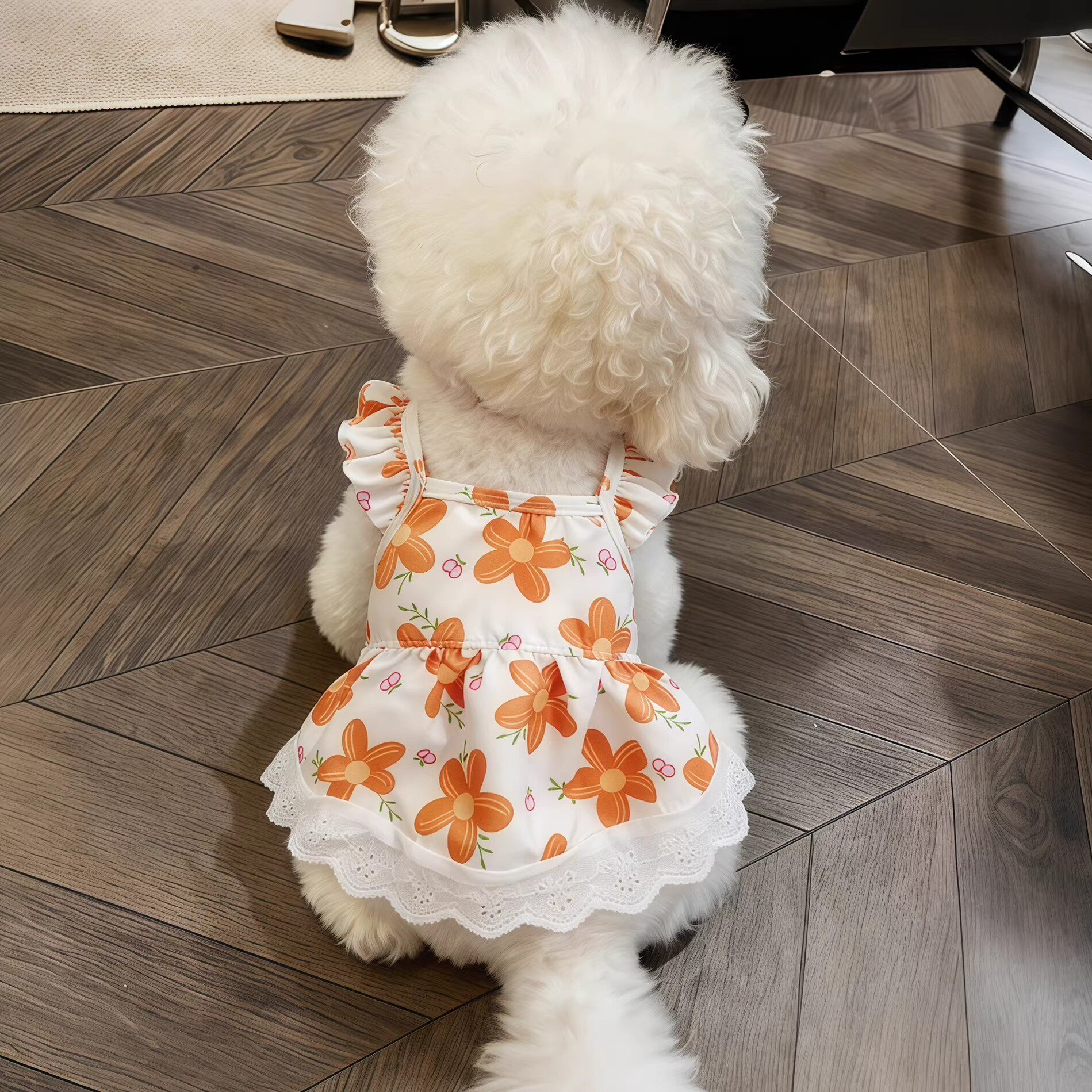 狗狗衣服夏季透气清凉飞袖宠物裙子泰迪比熊博美小型犬猫咪公主裙