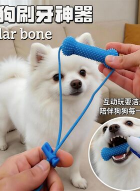 阿莫尔狗狗磨牙洁齿玩具清洁牙齿