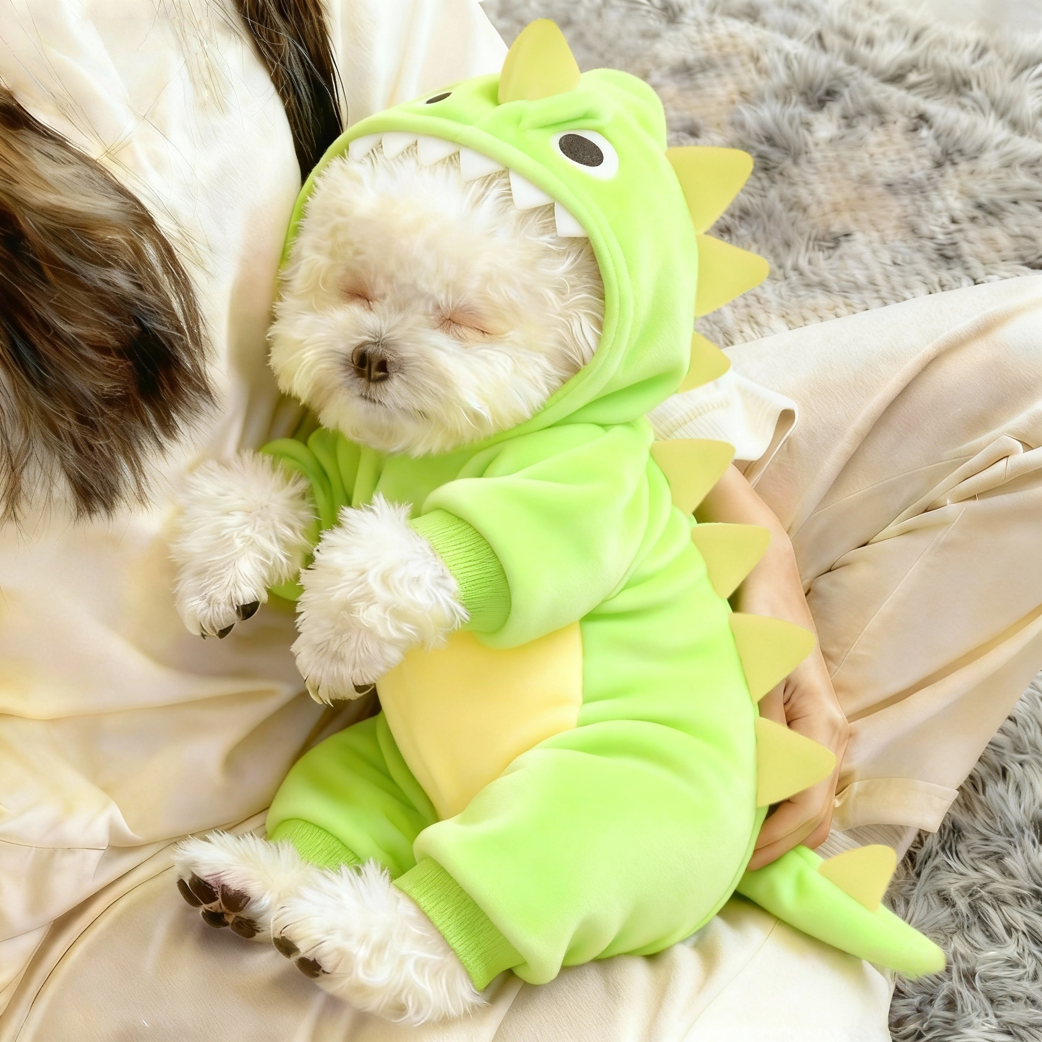 小狗狗衣服泰迪比熊博美毛绒加厚保暖可牵引小型犬衣服猫咪衣服冬