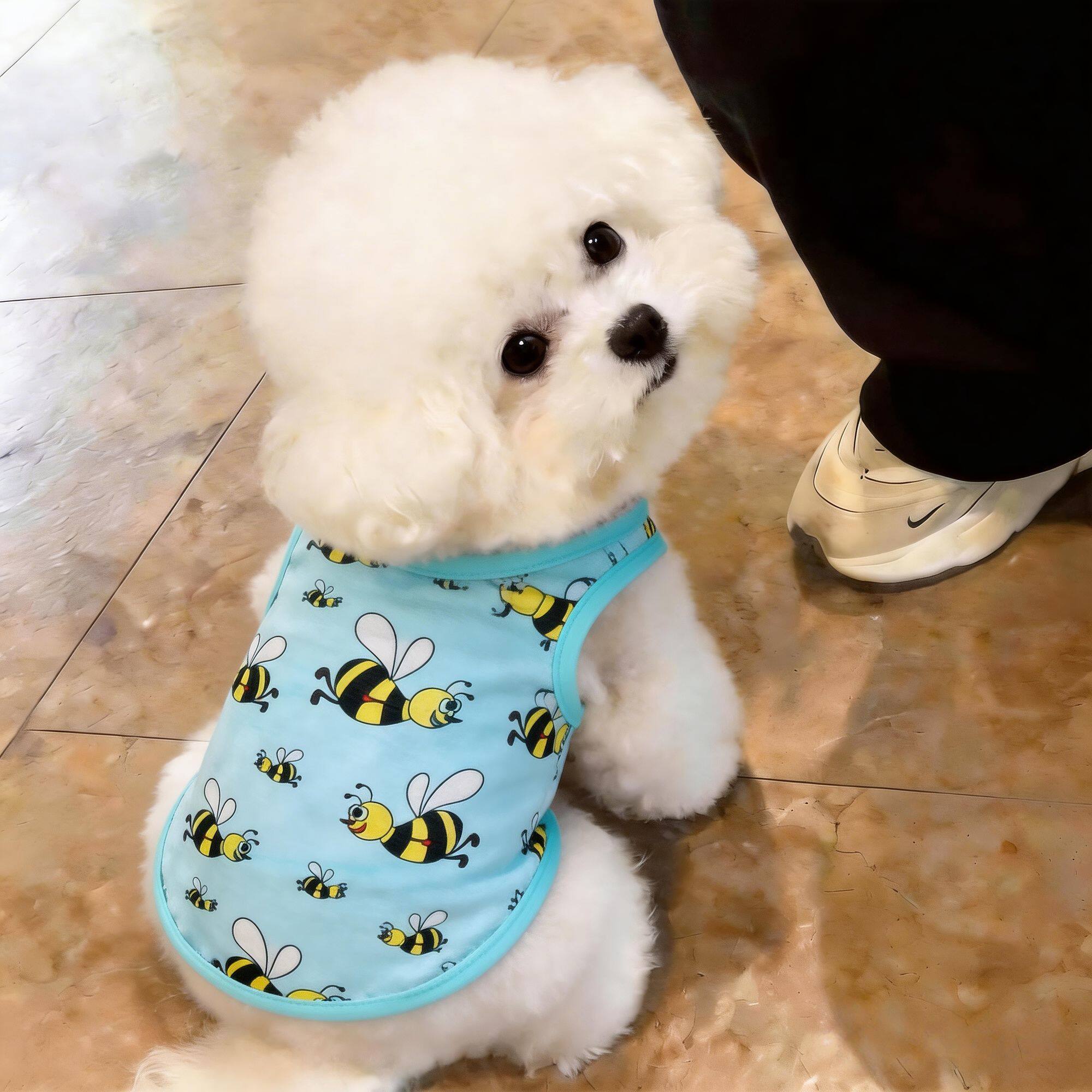 狗狗衣服夏季透气宠物背心防晒衫卡通猫咪衣服小型犬幼猫网纱背心