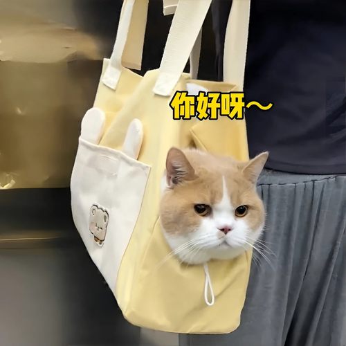 宠物大容量轻便携背包