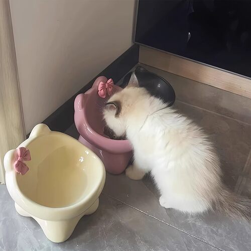 蝴蝶结陶瓷猫狗慢食碗防黑下巴