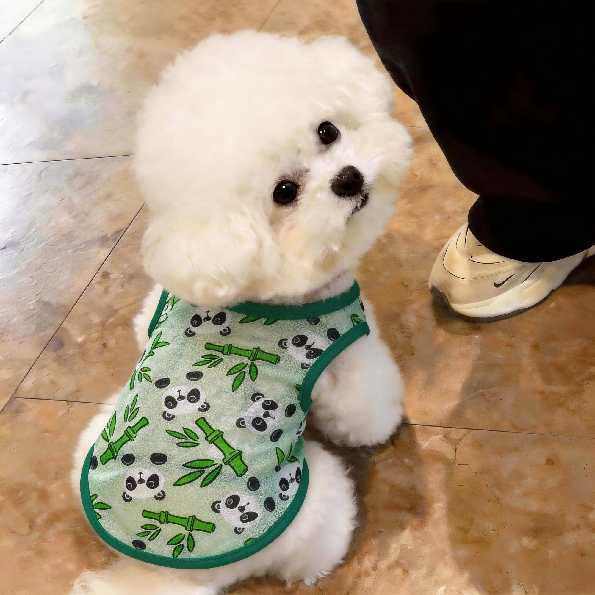狗狗衣服夏季透气清凉宠物衣服网纱比熊背心猫咪两脚衣小型犬衣服